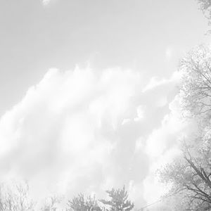 Meet your Posher, Calia